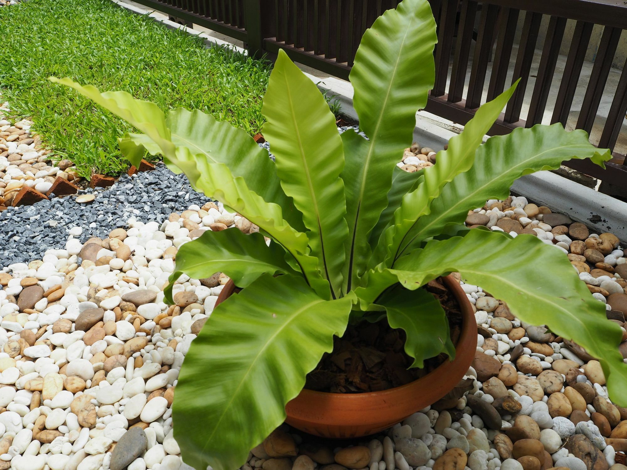 Sukhumvit 50 Garden Home Ban Khlong Nang Li Exterior foto